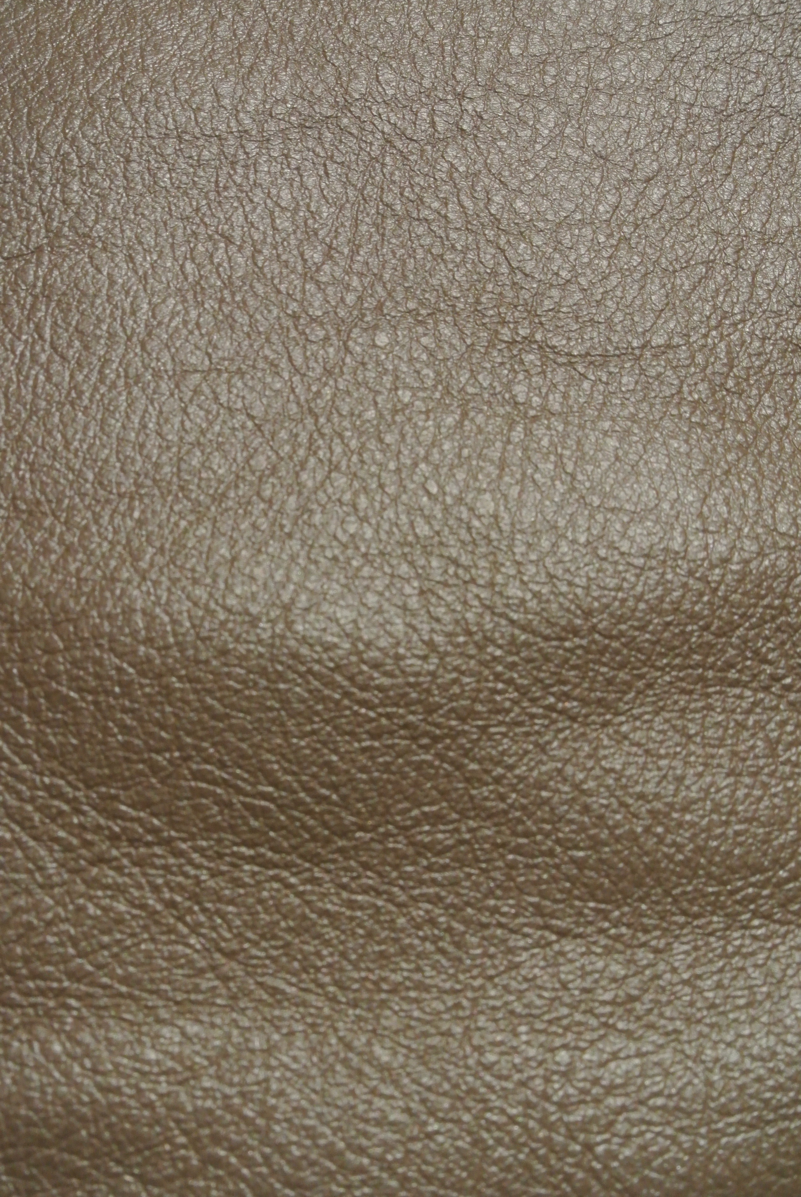 Queen Of Raw Marketplace To Buy And Sell Sustainable And Deadstock Fabric Textiles Ivory Pearlized Leather Cow Hide